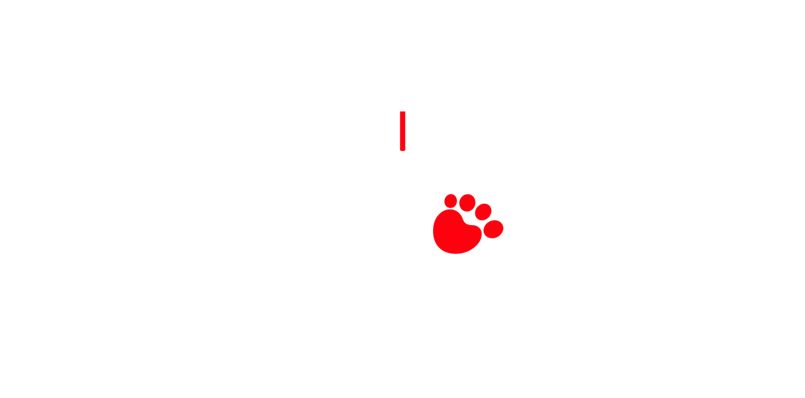 OMODA & JAECOO Amazonas